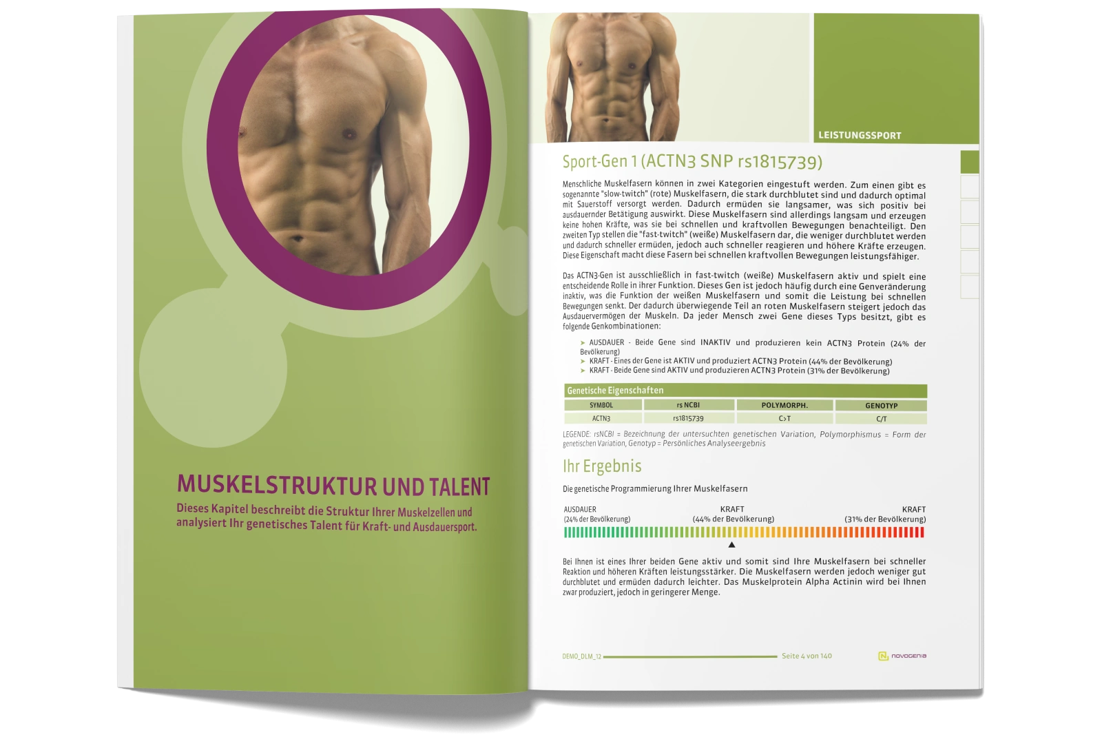 Performance Plus 2 1 (1)